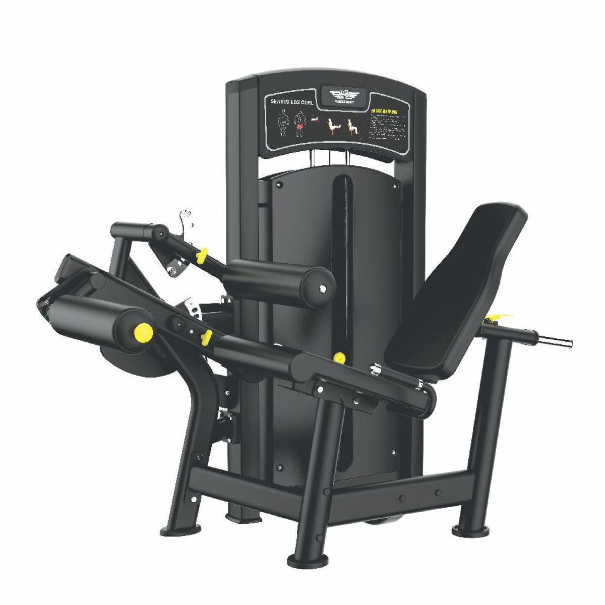 Seated Leg Curl M8